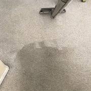 day s carpet cleaning 51 photos 41