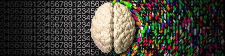 Left Brain Vs Right Brain Difference And Comparison Diffen