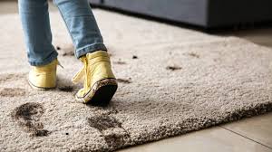 woman deep cleans berber carpet with