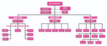 Slrwh Organizational Chart