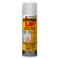 stain sealing ceiling paint spray