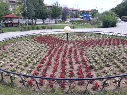 Именно в огромната цветна градина, дом на всички тези милиони цветя, се провеждат и редица празници и фестивали, съпътстващи цъфтежа на лалетата. Prevrnaha Svishov V Cvetna Gradina Trud