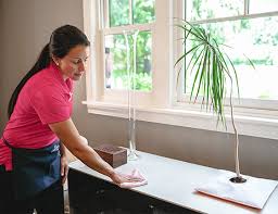 Molly Maid House Cleaning Services Home Cleaning Maid