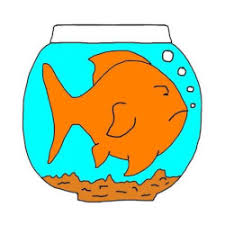 do goldfish need a big tank why