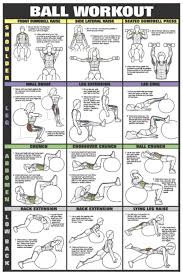 Swiss Ball Workout Ii Fitness Chart Co Ed