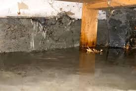 basement floods chilliwack progress