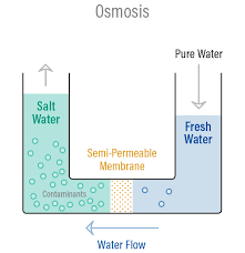 Puretec Industrial Water What Is Reverse Osmosis