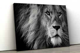 Lion King Decor Nature