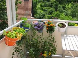 Balcony Gardening Ideas