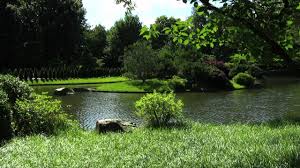 Japanese gardens near atlanta _ tsukiyama gardens _ gibbs gardens. 12 Stunning Japanese Gardens In America You Can T Miss