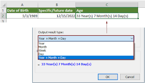future date in excel