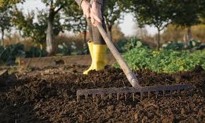 How To Prepare Garden Soil For Planting