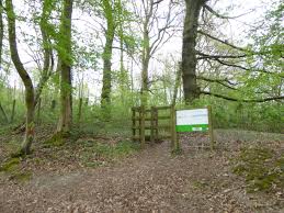 File:Villers-au-Bois.- le bois Poret (4).JPG - Wikimedia Commons