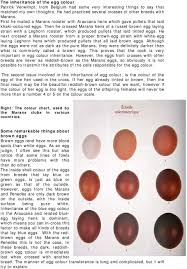Uncategorized Inheritance Of Egg Colour In Marans By Dirk