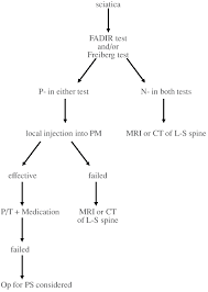 Flowchart Depicting A Diagnostic Approach To Patients With