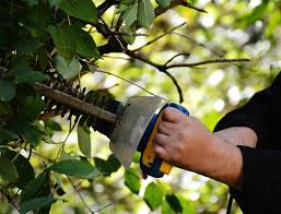 when and how to sharpen a hedge trimmer