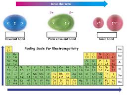 Pauling Scale For Electronegativity Ppt Download