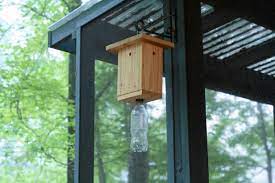 how to make a carpenter bee trap
