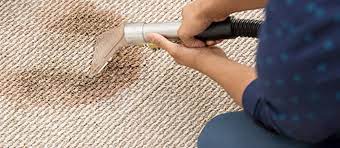 carpet stain removal ballarat call