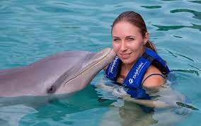 faq swimming with dolphins