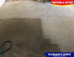 carpet cleaning perth clean dry