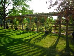 Helping home owners design and build their home and backyard vineyard in new england, providing expertise, vineyard supplies, and installation. Backyard Pergola As Vineyard Backyard Vineyard Backyard Pergola Pergola