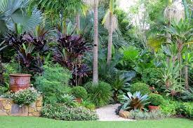 nevell garden tropical landscape