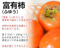 初荷のトマトのイメージ