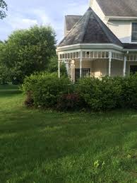 Thank you for visiting greenace lawn care, your trusted lawn care provider. Home Mysite