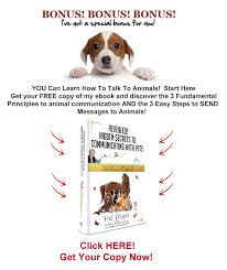 Everything You Need To Know About Animal Communication Start Here