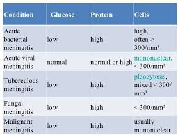 Results Csf Analysis At Different Types Of Meningitis