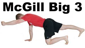 the mcgill big 3 for core ility