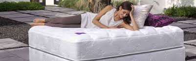 pranasleep reviews 2024 mattresses
