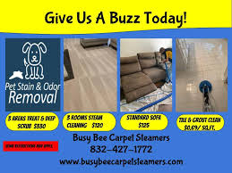 busy bee carpet steamers cypress tx