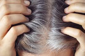 gray hair can return to its original