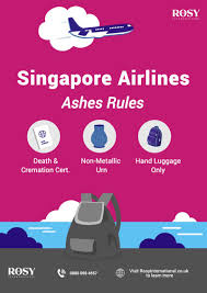 singapore airlines travelling with