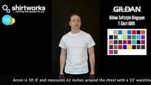 Gildan Softstyle T Shirt Gd01