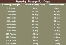 A Dog Benadryl Dosage Chart To Help With Benadryl Dosage For
