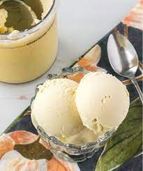 ninja creami dairy free vanilla ice