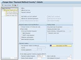Payment Advice configuration and activation for di... - SAP Community gambar png