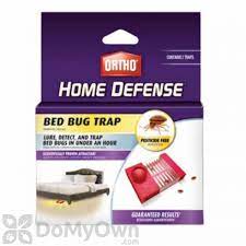 ortho home defense bed bug trap 2 pack