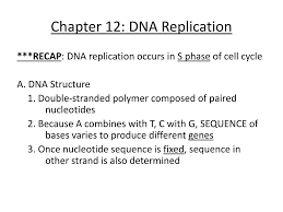 ppt chapter 12 nucleic acids