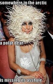 Lady-Gaga-lady-gaga-funny-meme-281 - via Relatably.com