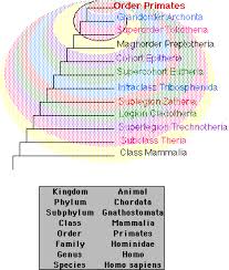 19 1 1 Taxonomy Biology Libretexts