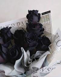 premium black roses bouquet miss moonig