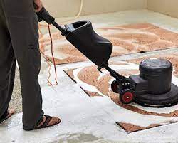 carpet cleaning albuquerque nm bear