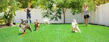 10 Dog Friendly Landscaping Ideas For