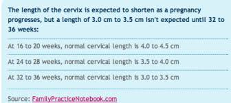 cervix merements babycenter