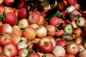 antibacterial apple cider vinegar uses