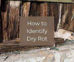 How To Identify Dry Rot Crew